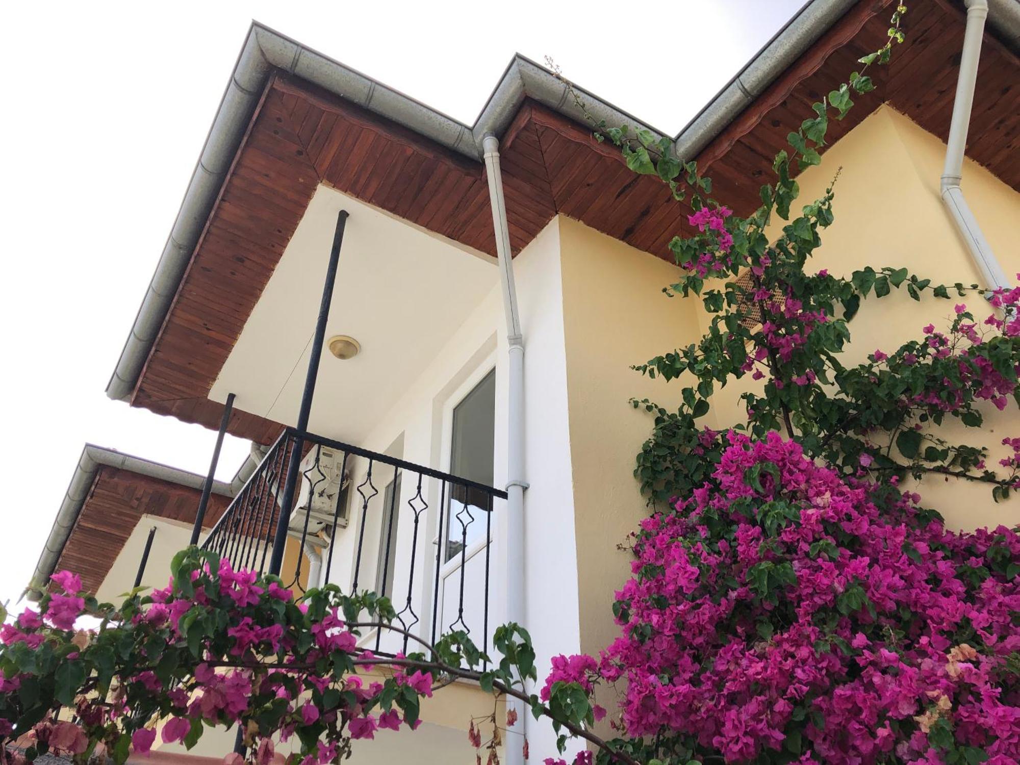 Defne Olive Gardens, Koca Calis, Fethiye - Previously Defne Pansiyon Екстериор снимка
