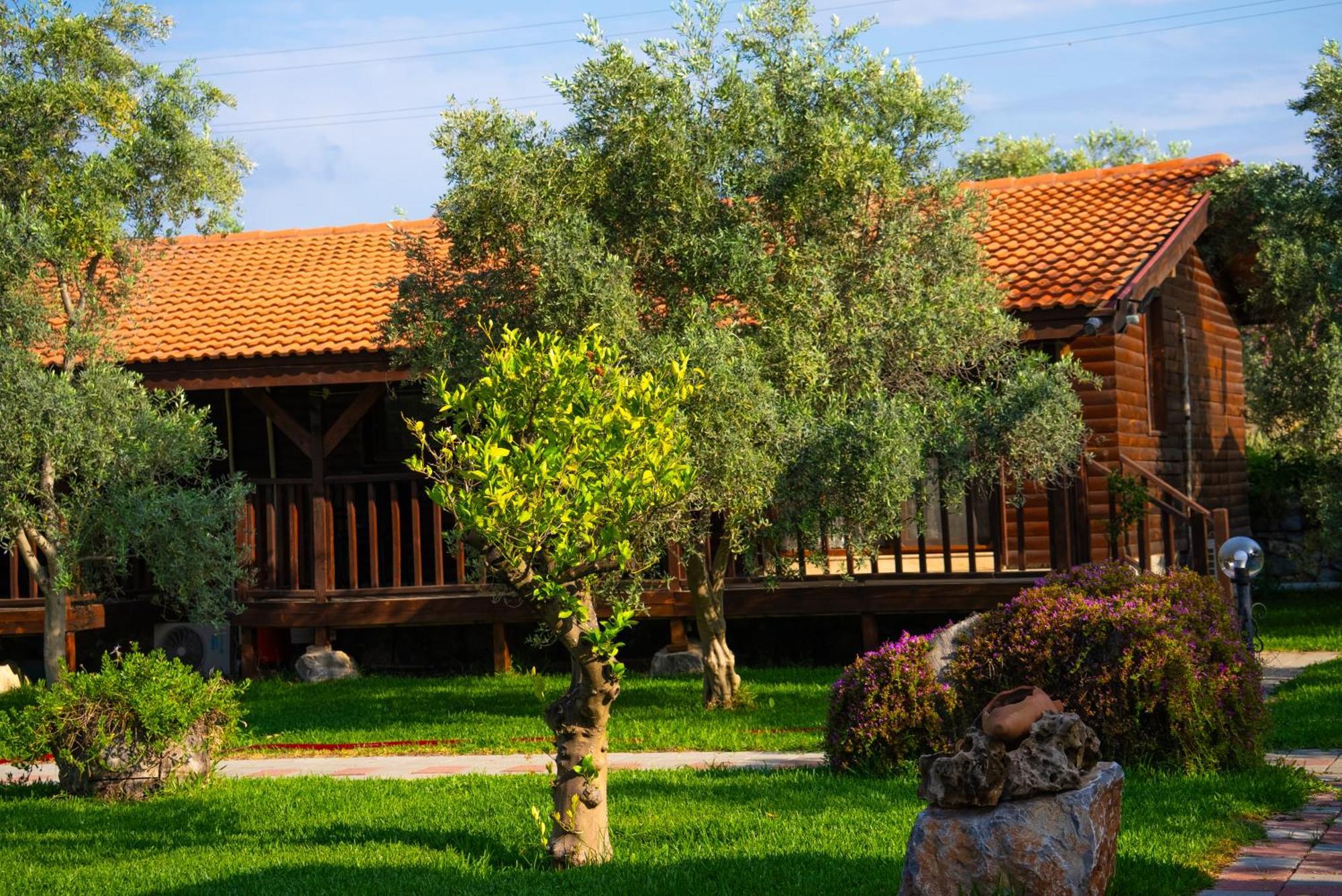 Defne Olive Gardens, Koca Calis, Fethiye - Previously Defne Pansiyon Екстериор снимка