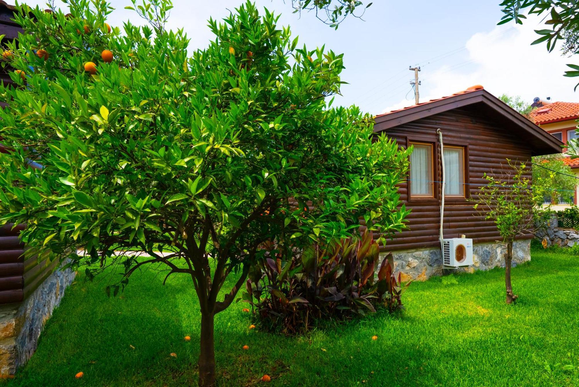 Defne Olive Gardens, Koca Calis, Fethiye - Previously Defne Pansiyon Екстериор снимка