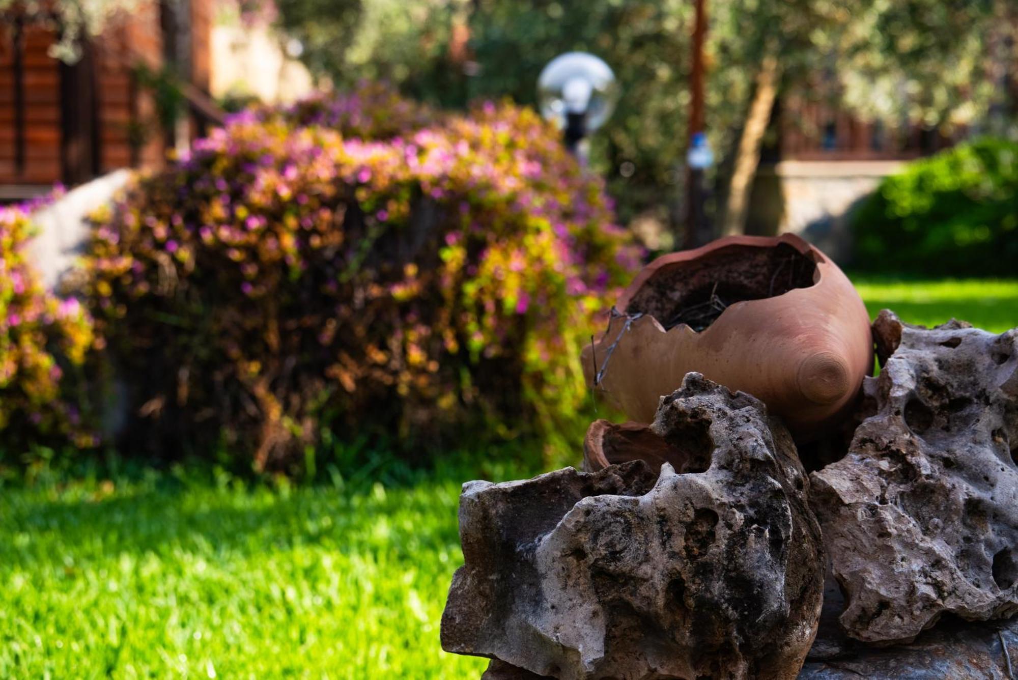 Defne Olive Gardens, Koca Calis, Fethiye - Previously Defne Pansiyon Екстериор снимка